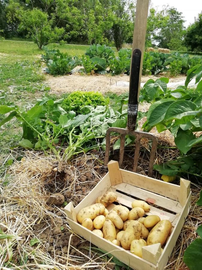 Les Rosiers La Planche Princee, Chambres D'Hotes Ecolo Et Potager Bio, Sauna المظهر الخارجي الصورة